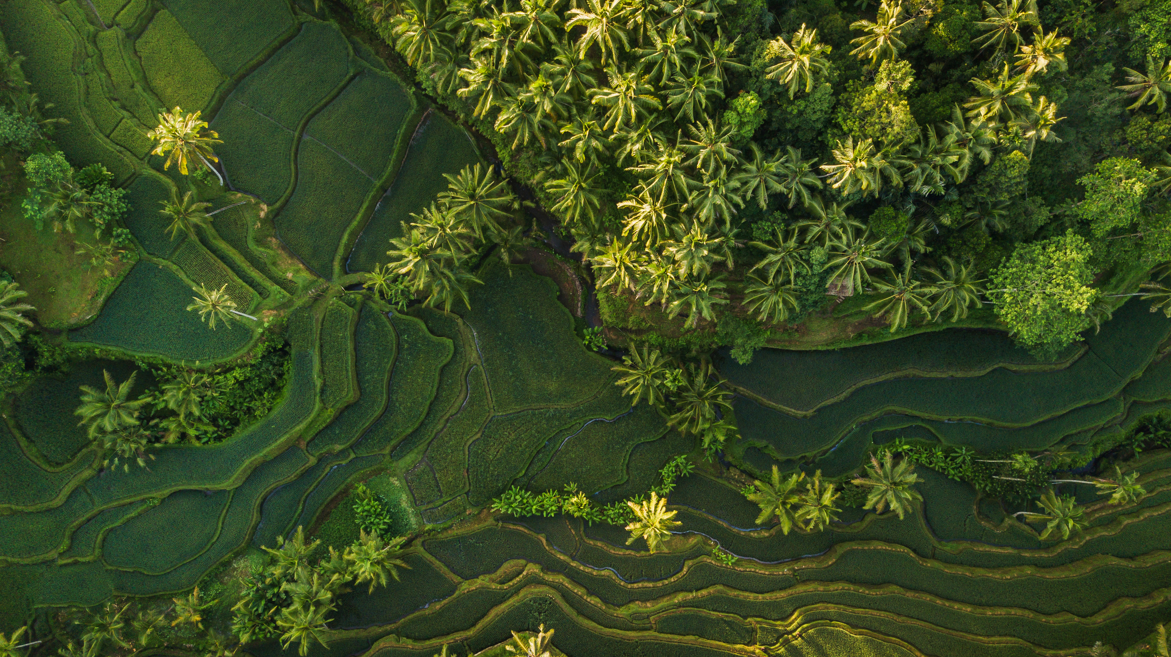 Bali, Indonesia