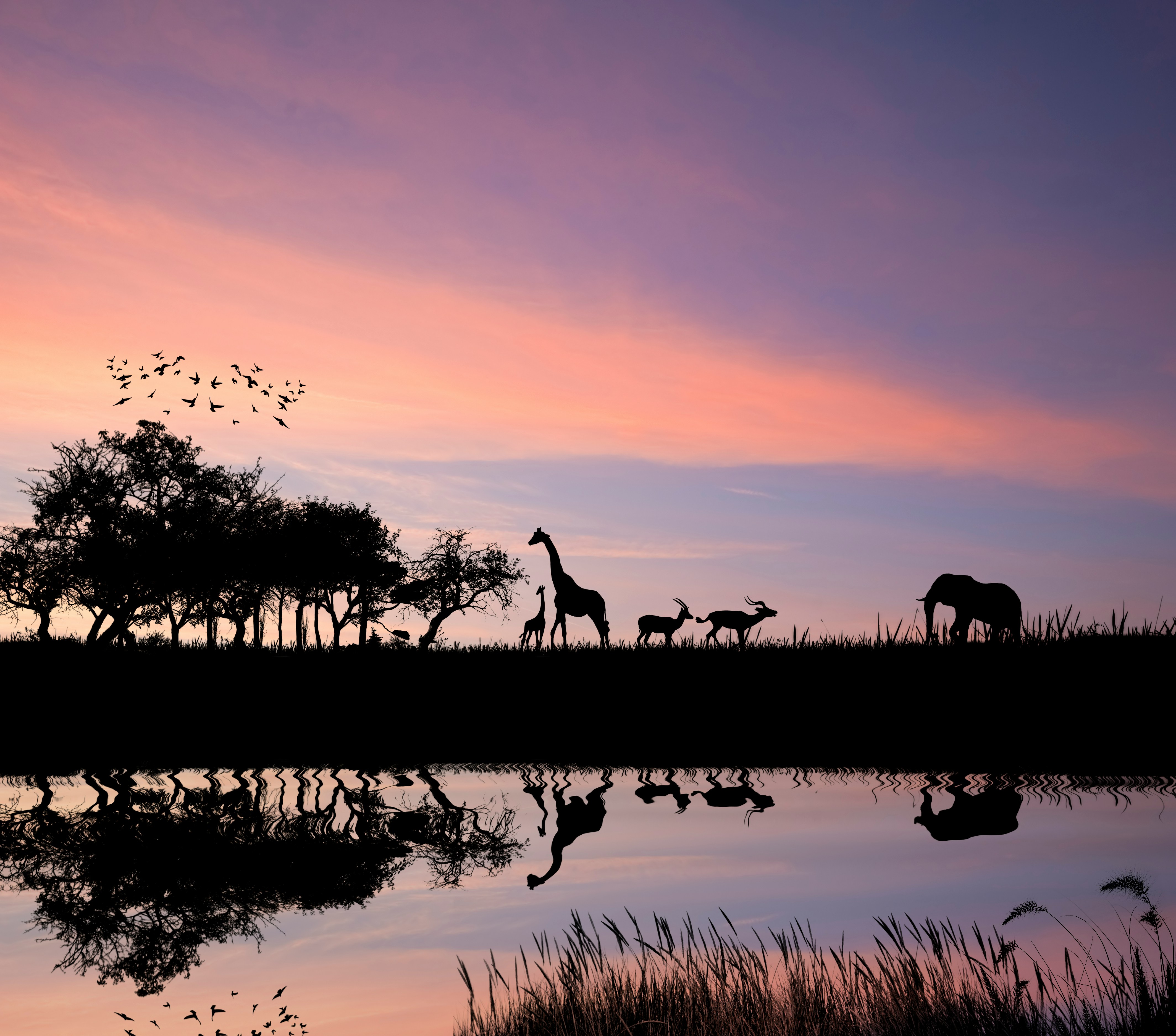 Serengeti, Tanzania